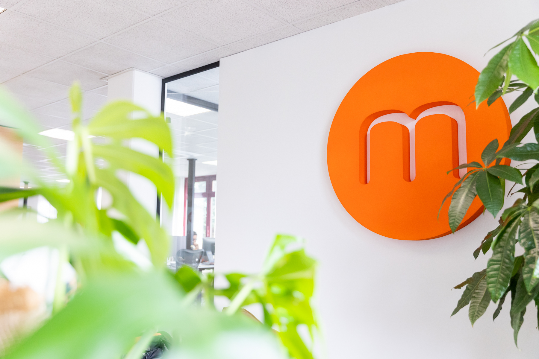 METANOUS 29 MAART 2022 LR 548